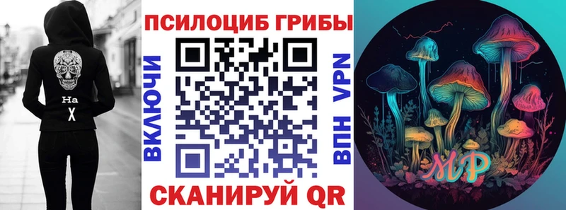 Псилоцибиновые грибы прущие грибы  Купить  Ржев 